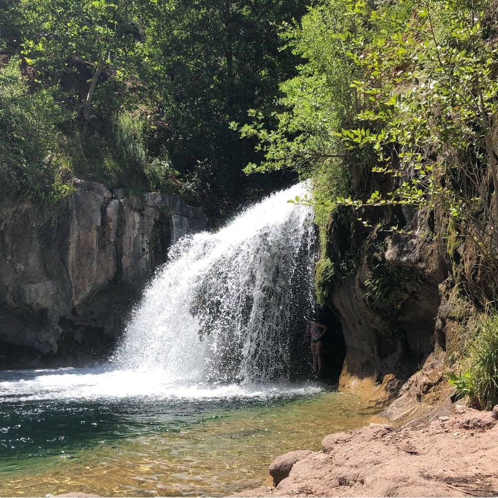 Meet your Posher, Joeanna